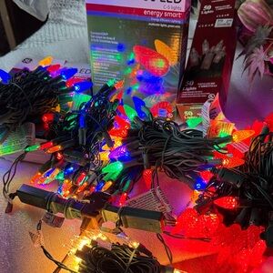 Multicolor LED Holiday String Lights